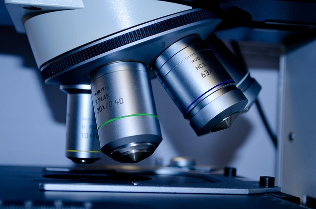 Pielęgnacja skóry w dobie biotechnologii: Nowe trendy i odkrycia